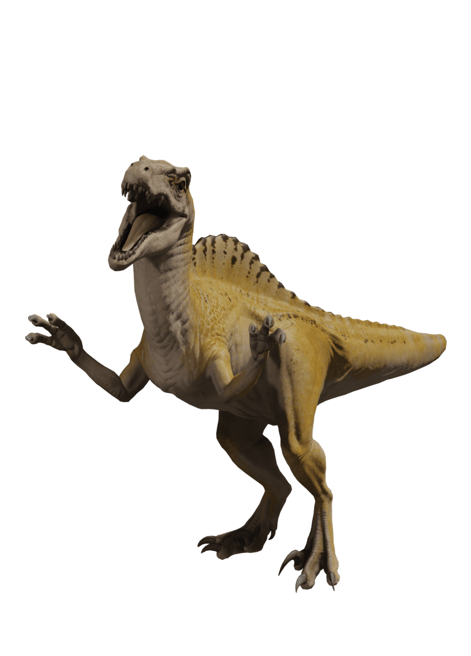 Spinoraptor